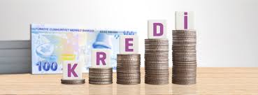 Kredi Danışmanlığı