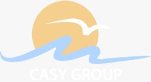 CASY TEMİZLİK İLAÇLAMA GROUP 